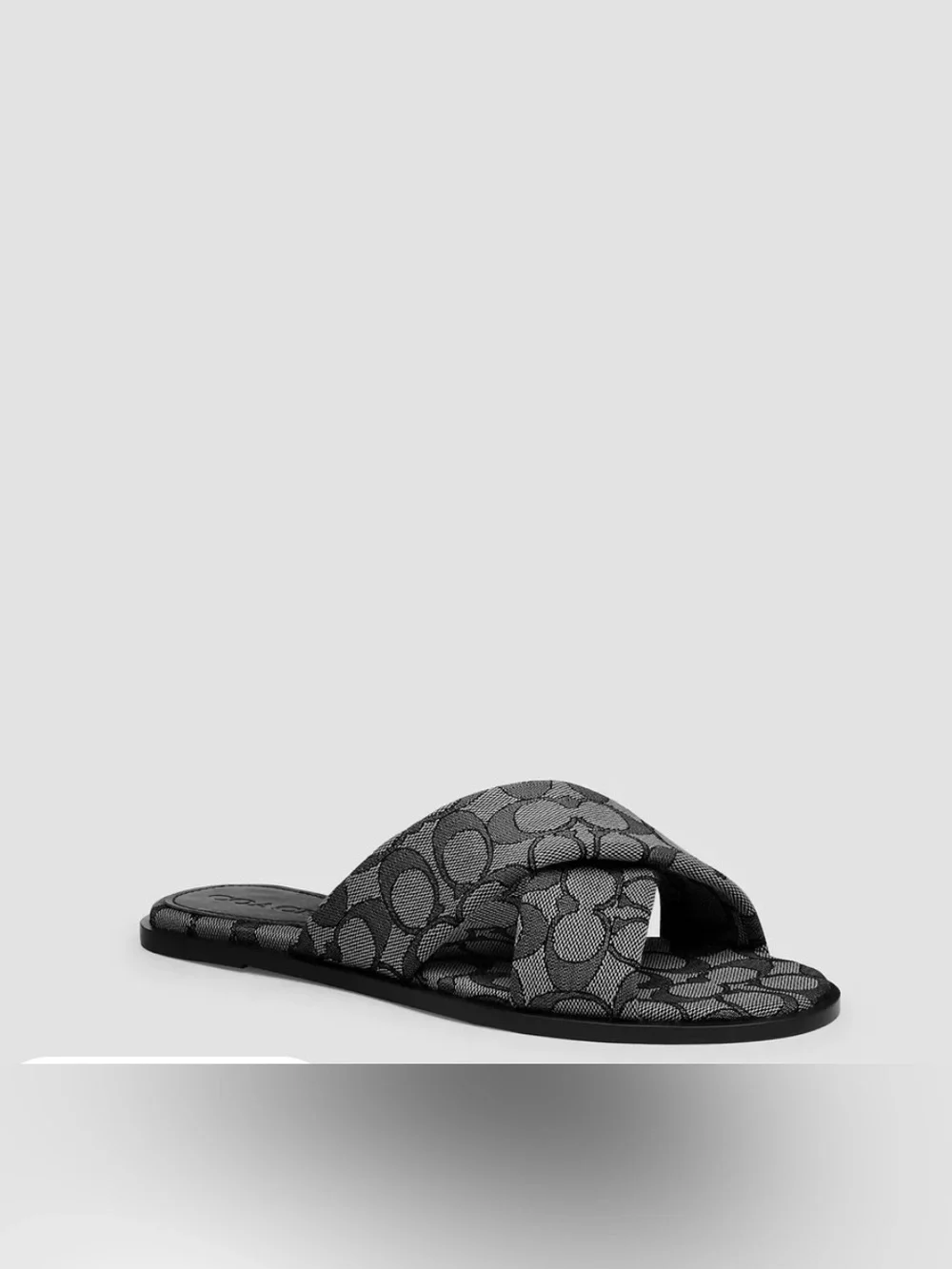 Coach color smoke